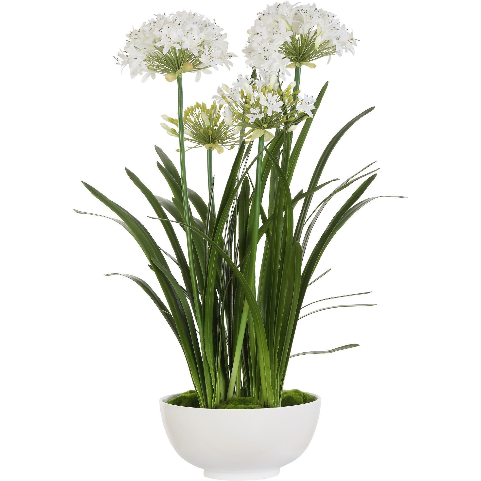 Purity Agapanthus Green and White Centerpiece