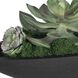 Verde Succulent Black and Green Centerpiece In Bowl