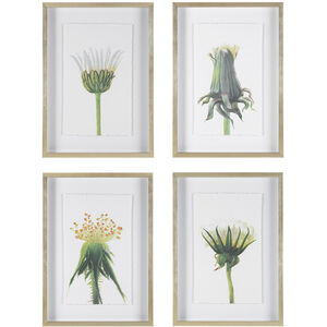Wildflowers 27 X 19 inch Framed Prints, Set of 4