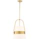 Harness 1 Light 15 inch Warm Brass Pendant Ceiling Light