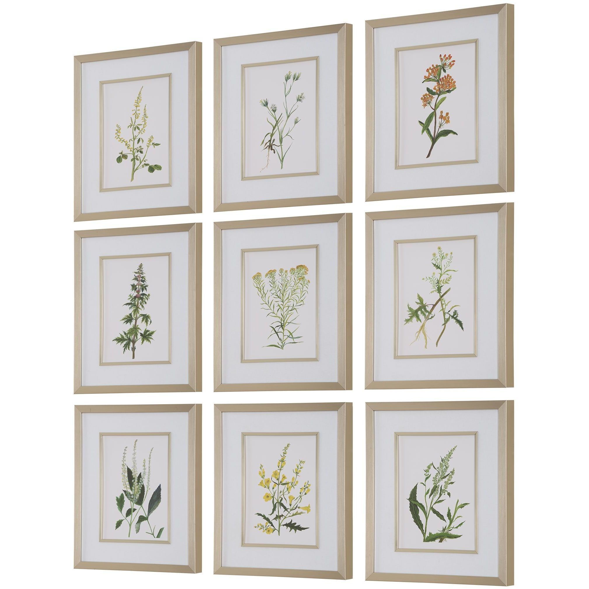 Botanical Flowers 21.38 X 17.38 inch Framed Prints, Set of 9