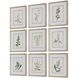 Botanical Flowers 21.38 X 17.38 inch Framed Prints, Set of 9