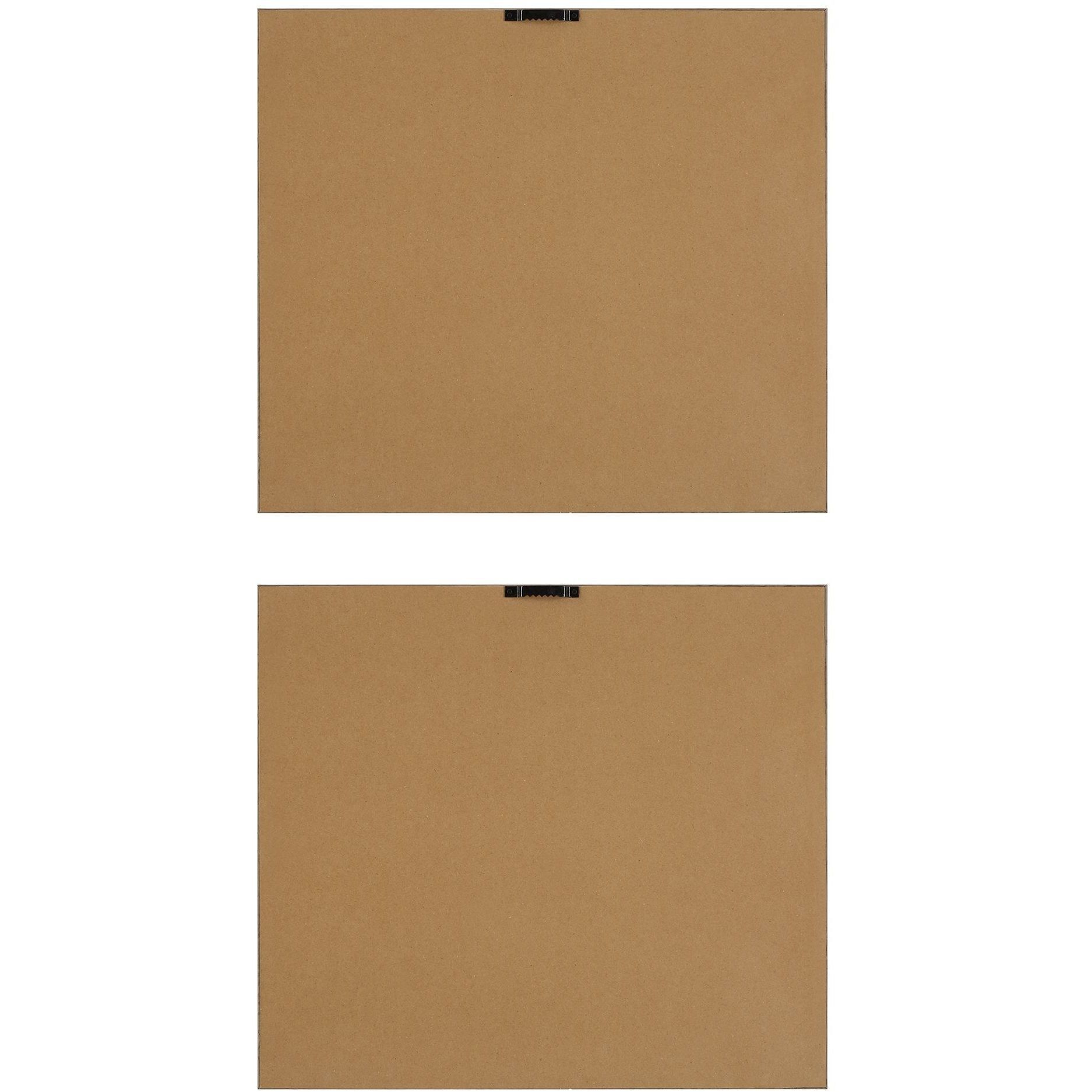 The Catch 20.5 X 18.25 inch Framed Fish Prints, Set of 2