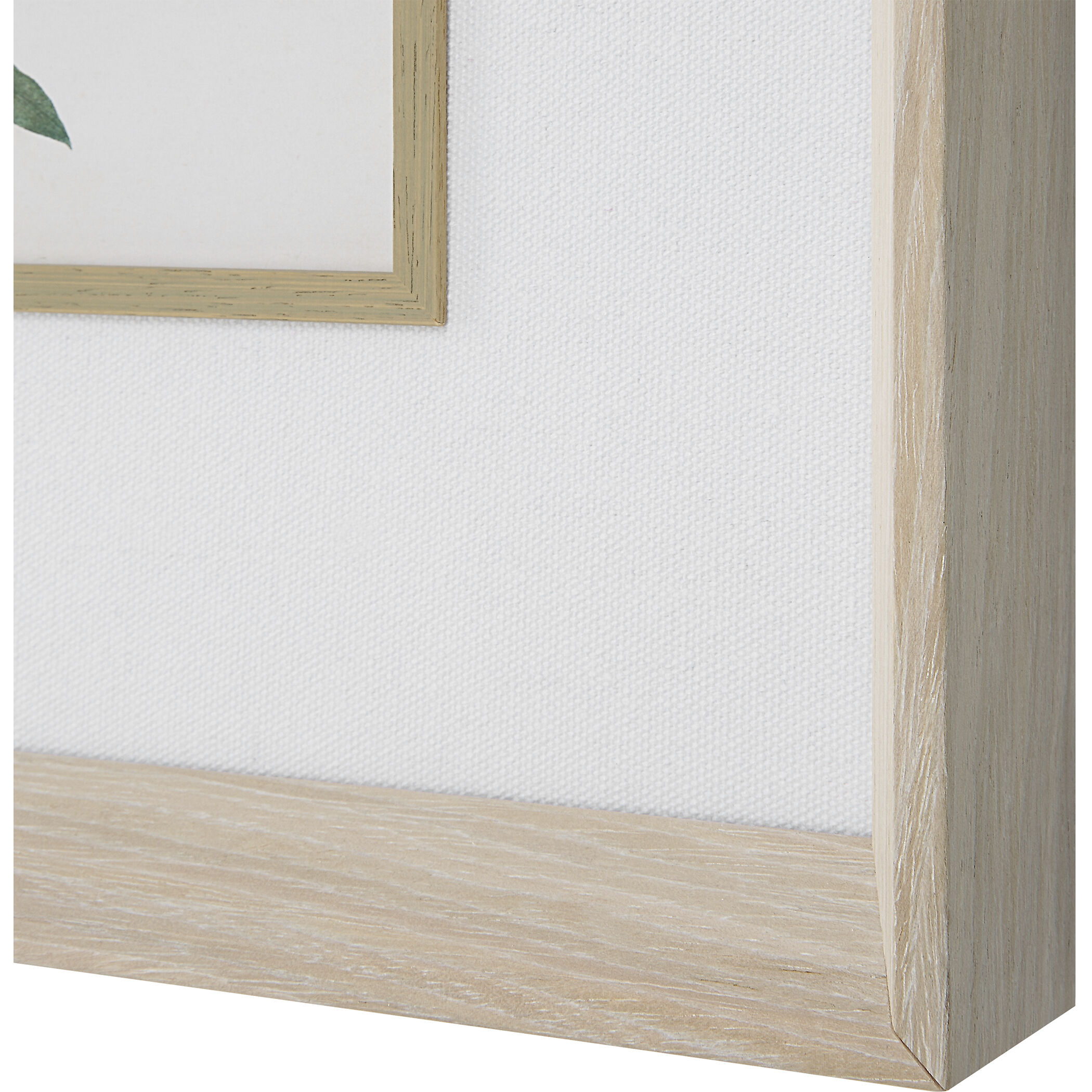 Classic Botanicals 19.38 X 17.38 inch Framed Prints, Set of 6