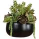 Mico Green and Burgundy and Matte Black Indoor-Outdoor Succulent Centerpiece