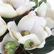 Dobbins Magnolia Magnolia and Glass Bouquet