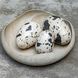 Nest Trio Beige and Charcoal Indoor Outdoor Decorative Eggs, Set of 3