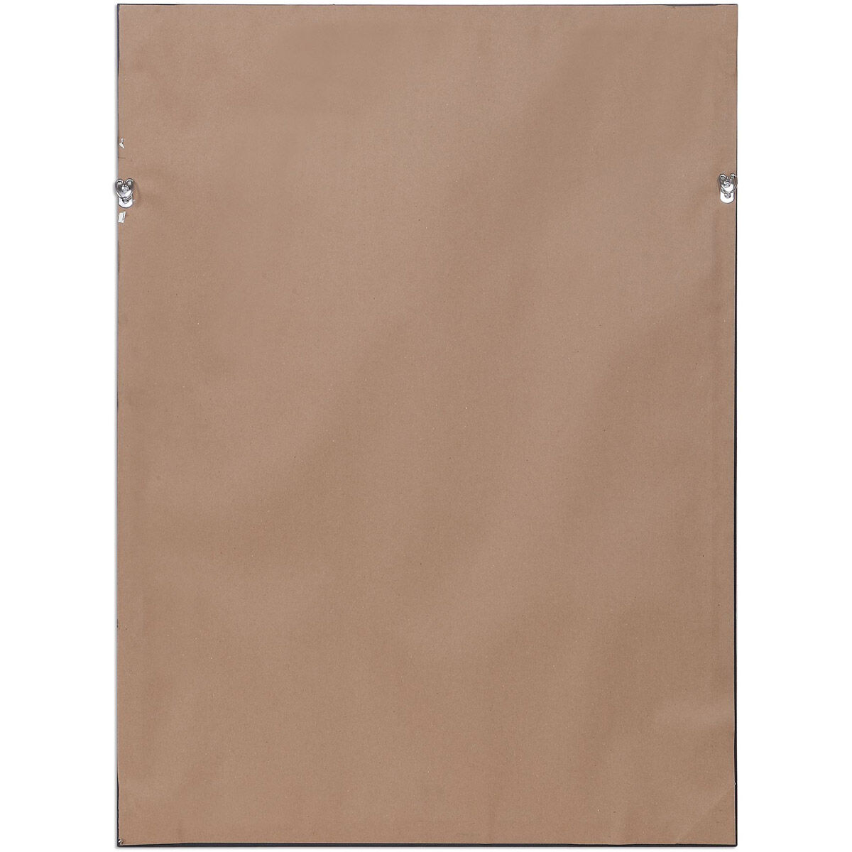 Silver Ferns 39 X 29 inch Framed Prints, Set of 2