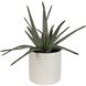 Taos Green with Ivory and Beige Glaze Aloe Centerpiece