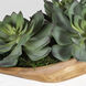 Yuma Natural Teak Wood Succulent Centerpiece