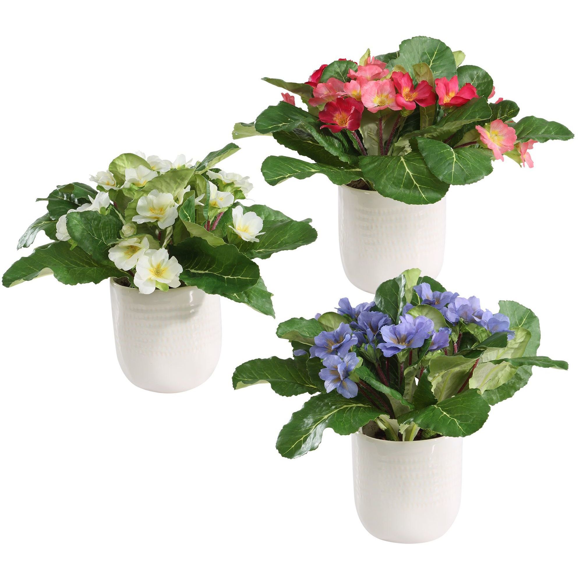 Trilogy Primrose Periwinkle and White and Fuchsia Primrose Accents in Vases, Set of 3