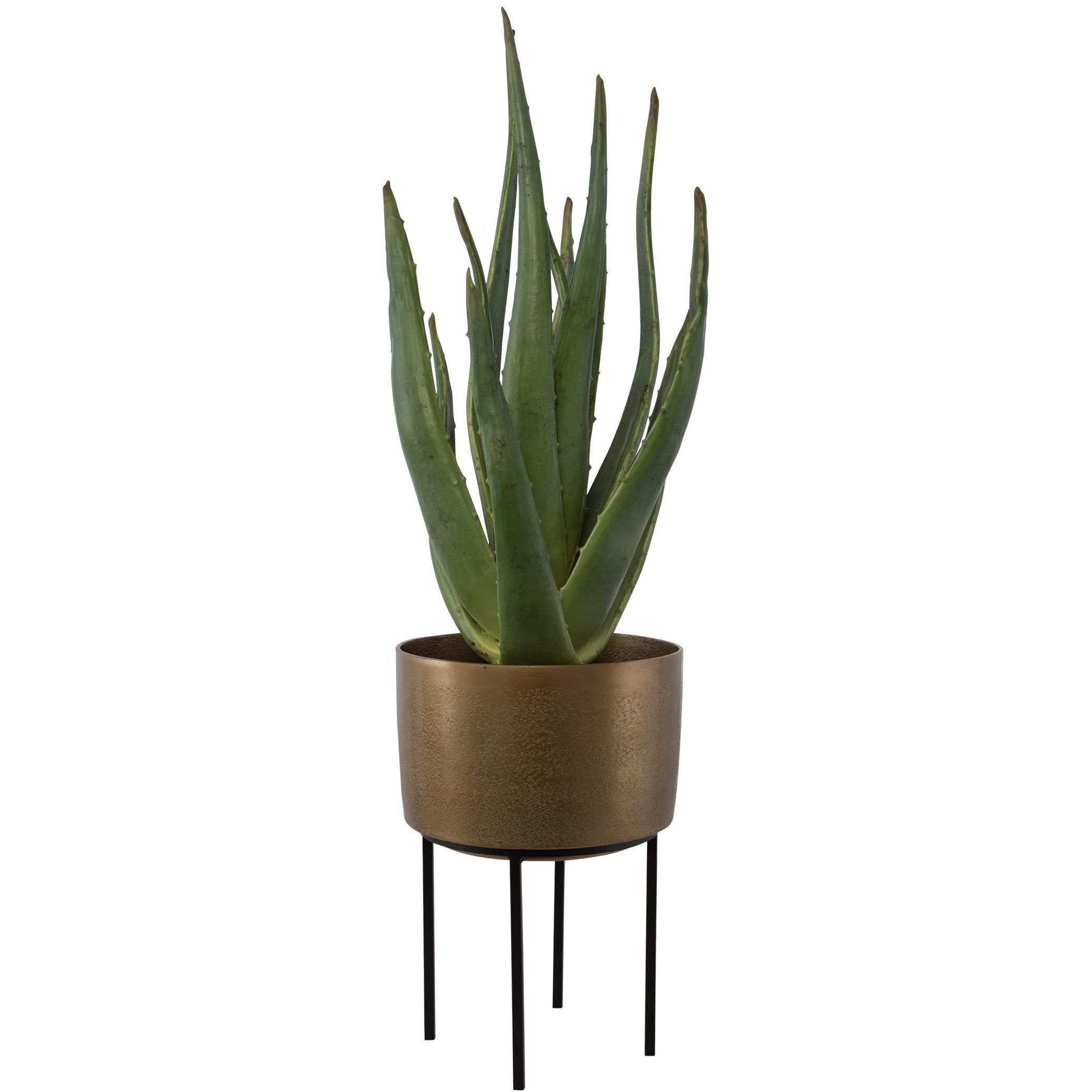 Arabia Green with Antique Brass and Matte Black Aloe Planter