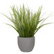 Dracaena Gray Concrete Planter