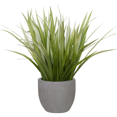 Dracaena Gray Concrete Planter