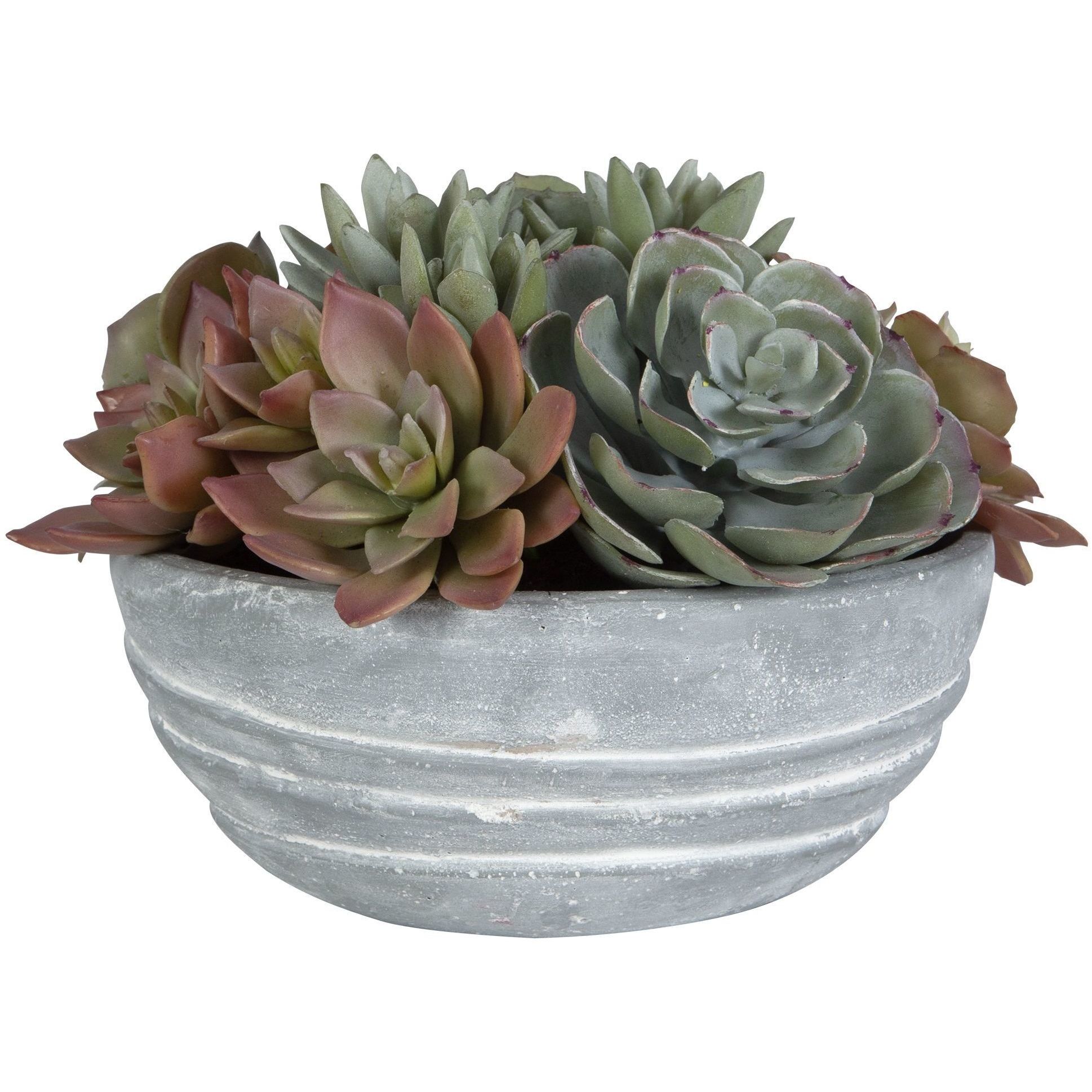 Peoria Green and Burgundy Tones with Concrete Succulent Accent