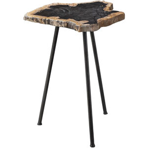 Mircea 20 X 16 inch Natural Petrified Wood and Aged Black Accent Table