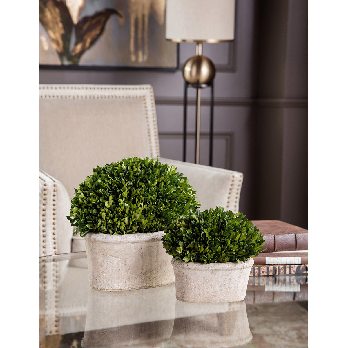 Preserved Boxwood Natural Evergreen Foliage Botanicals