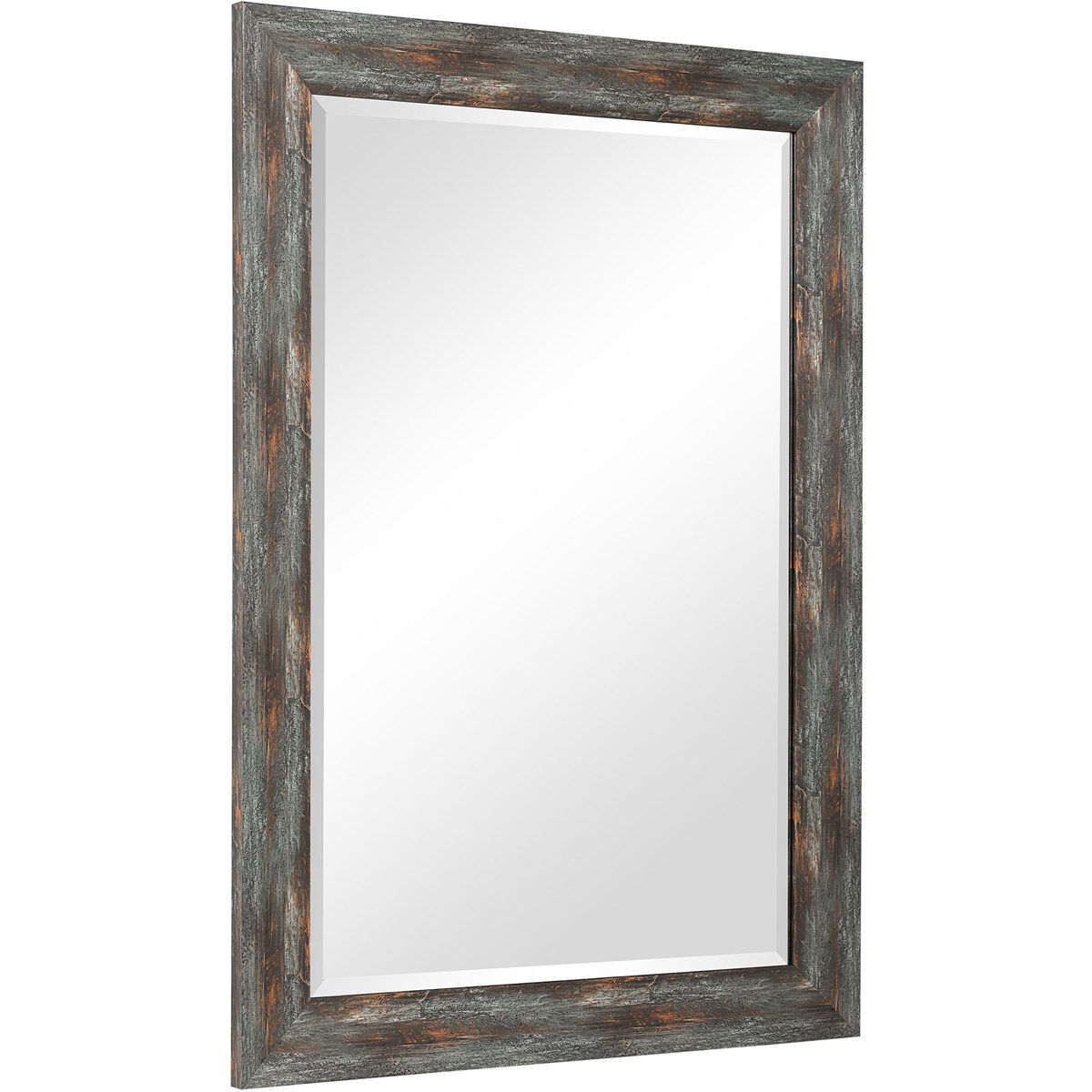 Owenby 40 X 28 inch Silver and Bronze Wall Mirror
