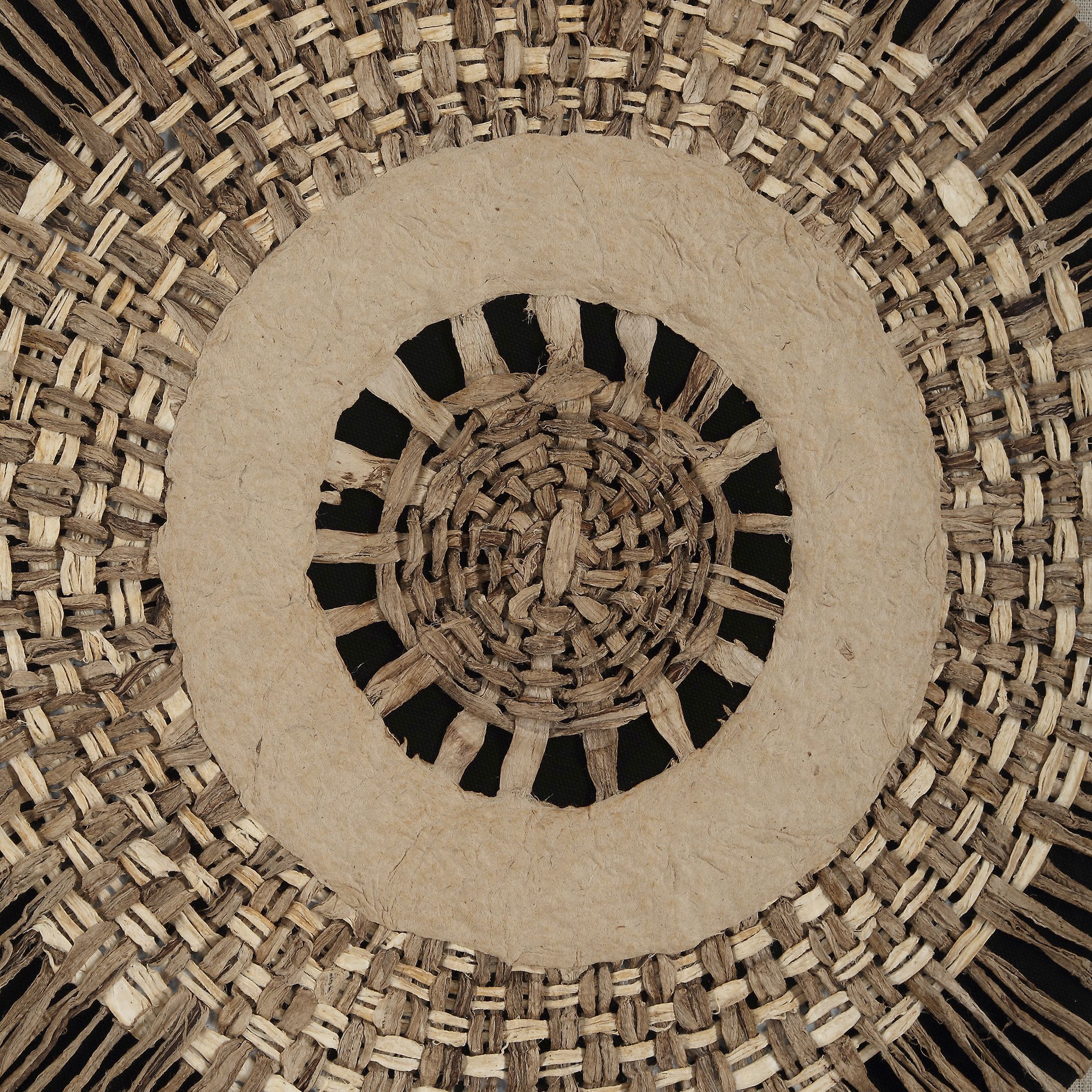 Intertwine Natural Earth Tones and Beige with Satin Black Shadow Boxes, Set of 2