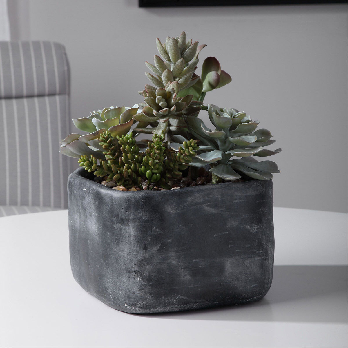 Alverio Charcoal Gray Concrete Succulents