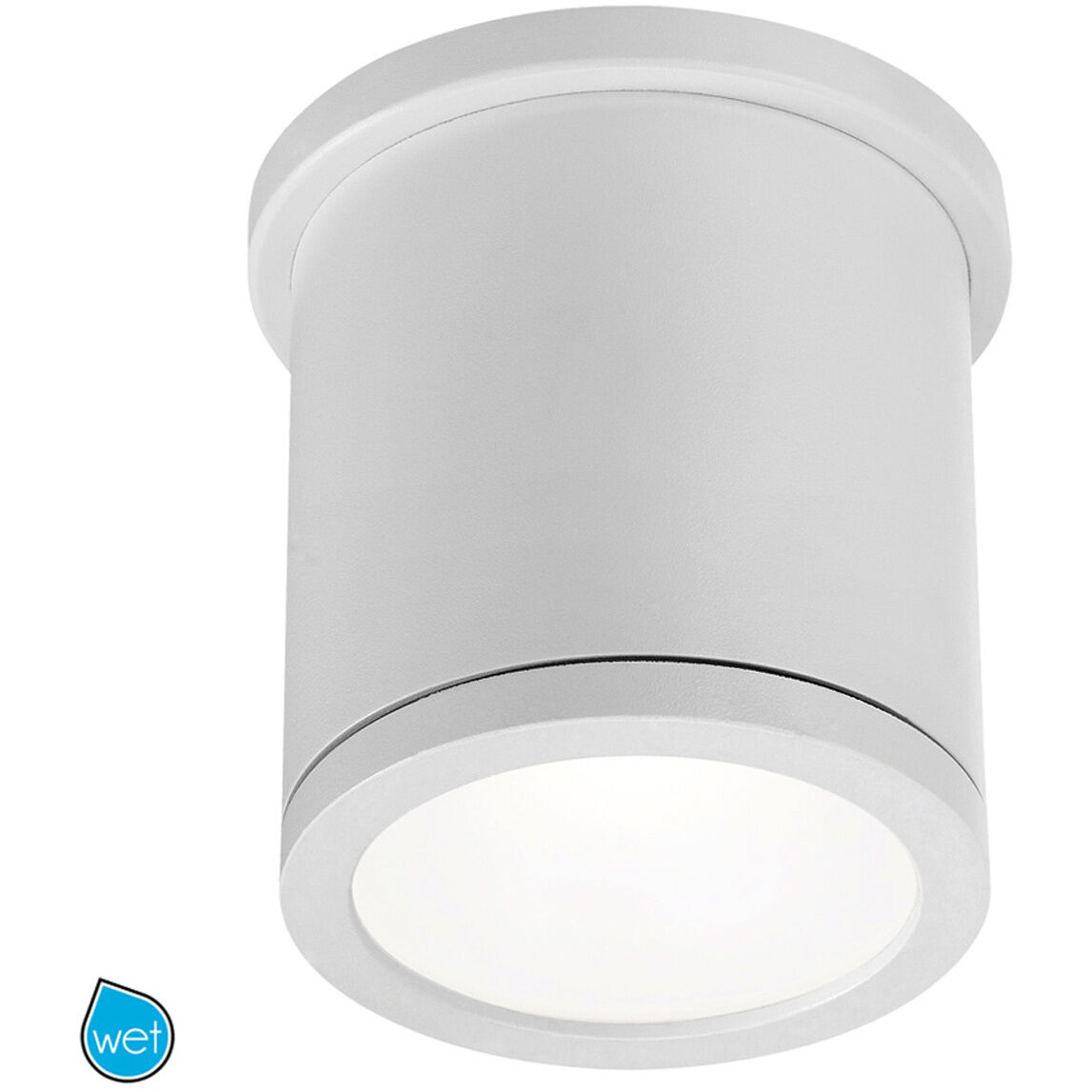 Tube 1 Light 4.50 inch Outdoor Ceiling Light