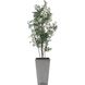 Sonora Olive Textured Gray Concrete and Green Tree In Planter