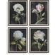 Florals On Black 26 X 20 inch Framed Prints, Set of 4