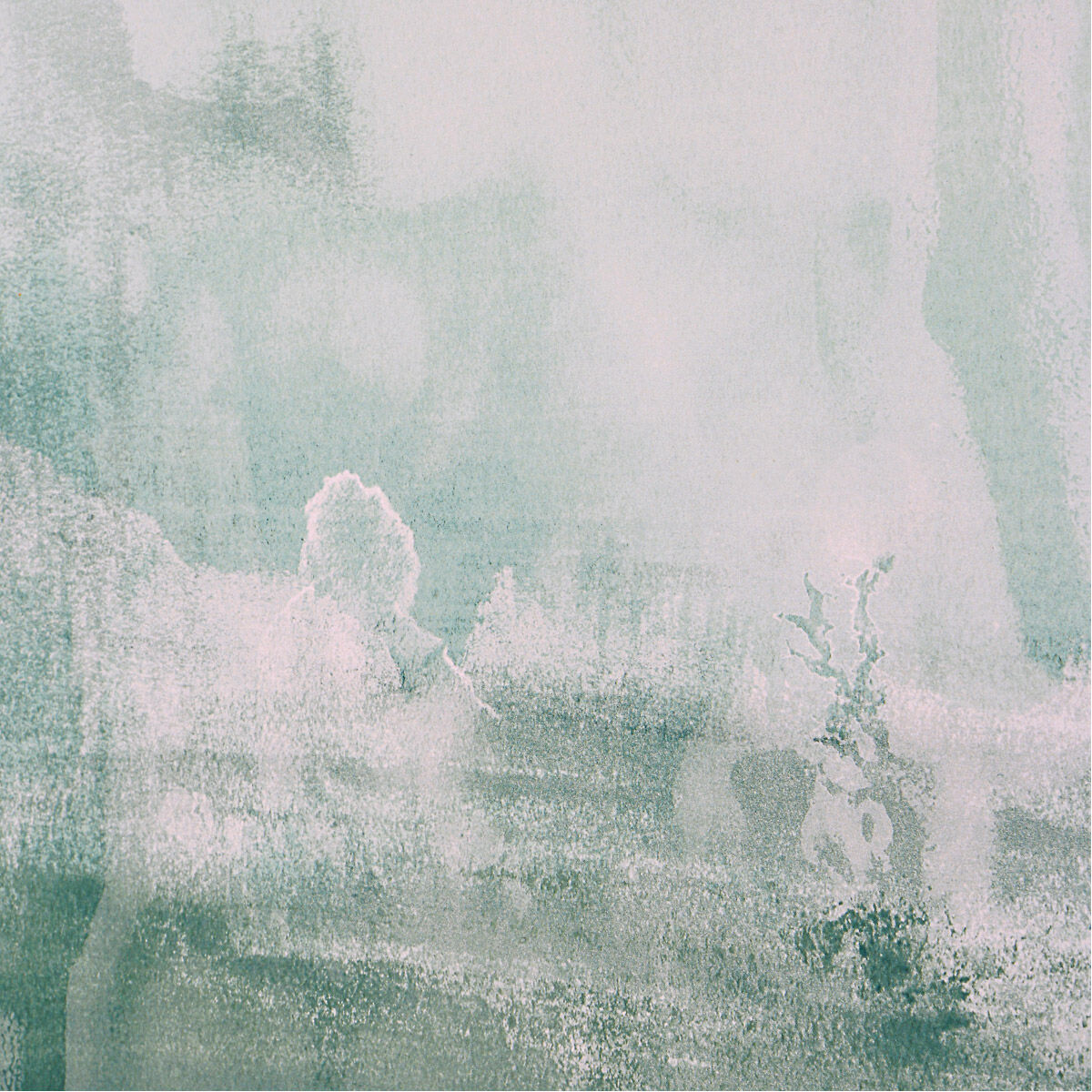 Coastal 36 X 31 inch Framed Prints, Set of 2