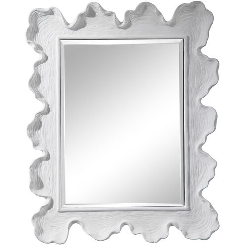 Sea Coral 34 X 27 inch Wall Mirror, Coastal