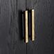 Front Range Dark Ebony Oak Veneer and Aged Gold 2 Door Cabinet
