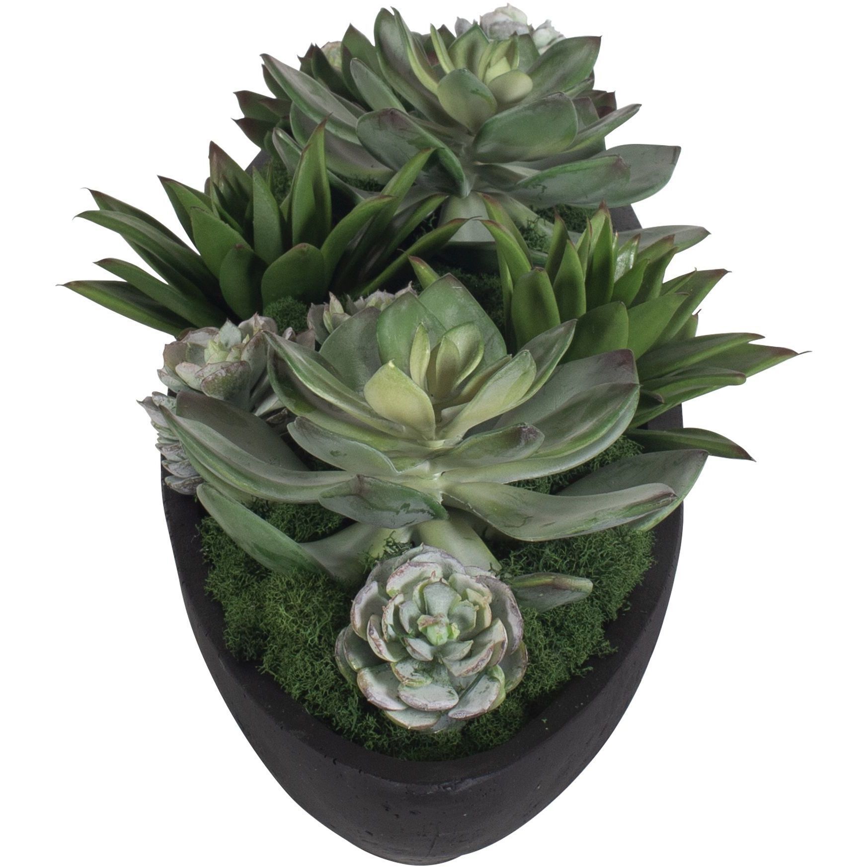 Verde Succulent Black and Green Centerpiece In Bowl