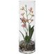 Mariposa Pink and Green and Clear Orchid