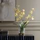Spider Green and Pink and Yellow Orchid In Glass Vase