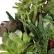 Mico Green and Burgundy and Matte Black Indoor-Outdoor Succulent Centerpiece