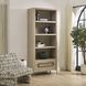 Alessia 88 X 36 inch Brushed Brass Etagere