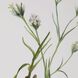 Botanical Flowers 21.38 X 17.38 inch Framed Prints, Set of 9