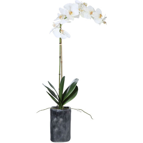 Eponine Charcoal Gray Concrete Orchid