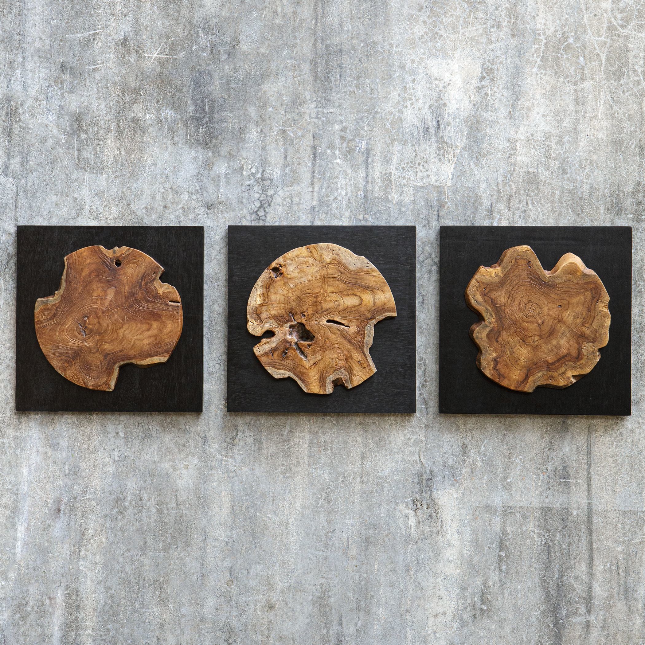 Kolini Satin Black and Natural Teak Wood Wood Wall Decor, Set of 3
