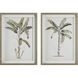 Banana Palm 35 X 25 inch Framed Prints, Set of 2