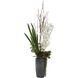 Eterna Orchid Aged Charcoal with White and Green Centerpiece & Vase