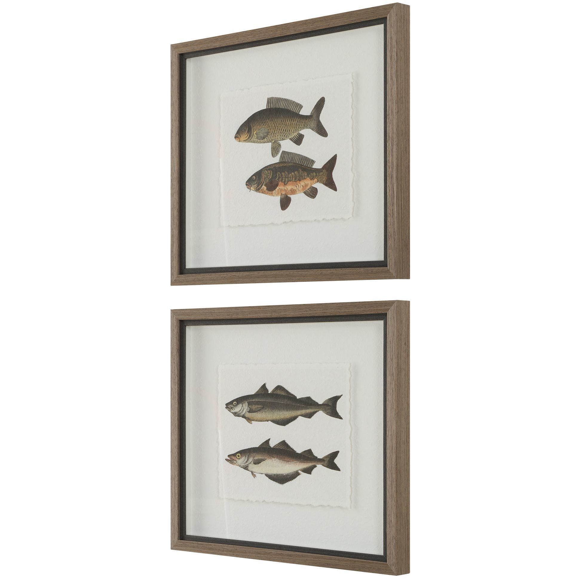 The Catch 20.5 X 18.25 inch Framed Fish Prints, Set of 2