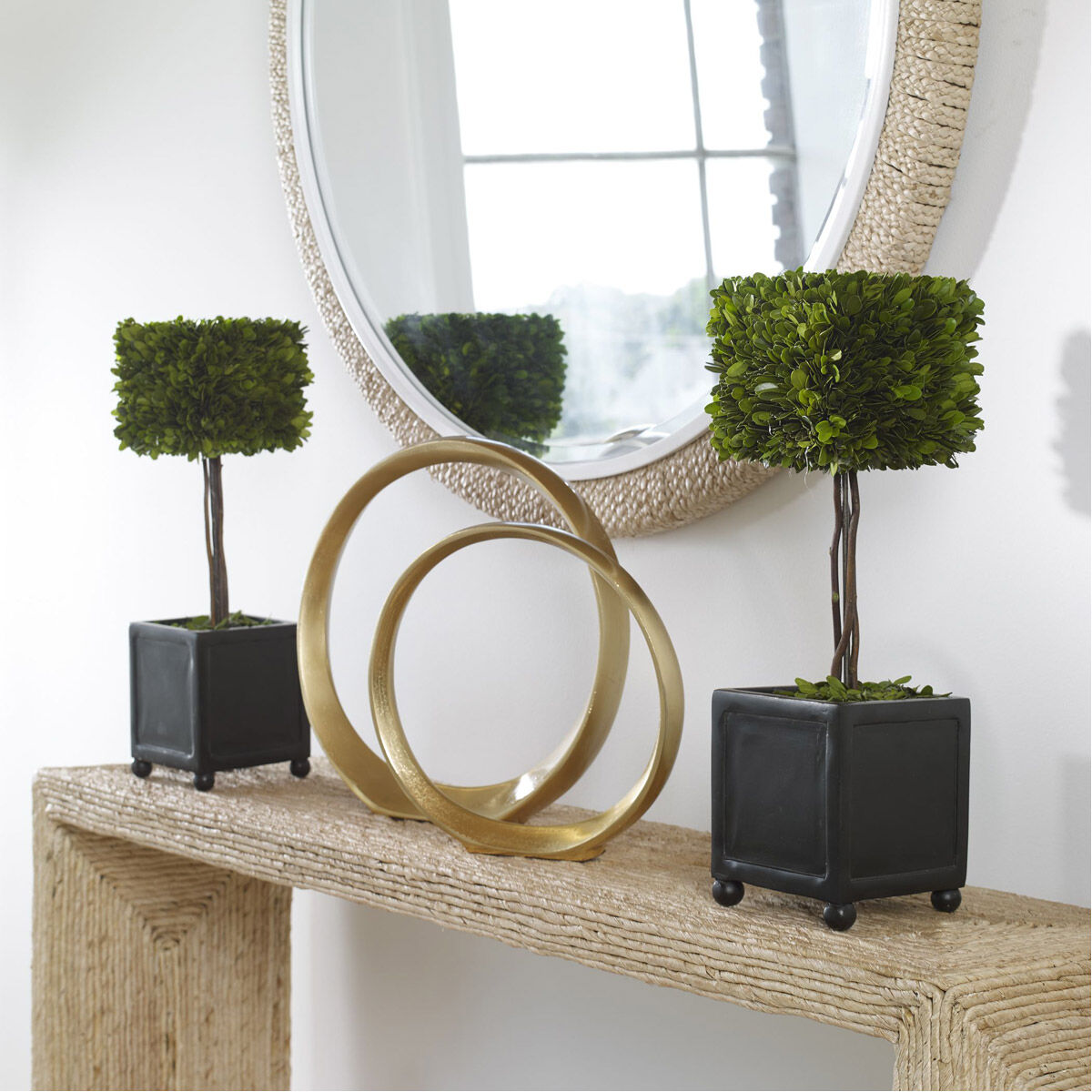 Preserved Boxwood Evergreen Foliage and Satin Black Topiaries, Set of 2