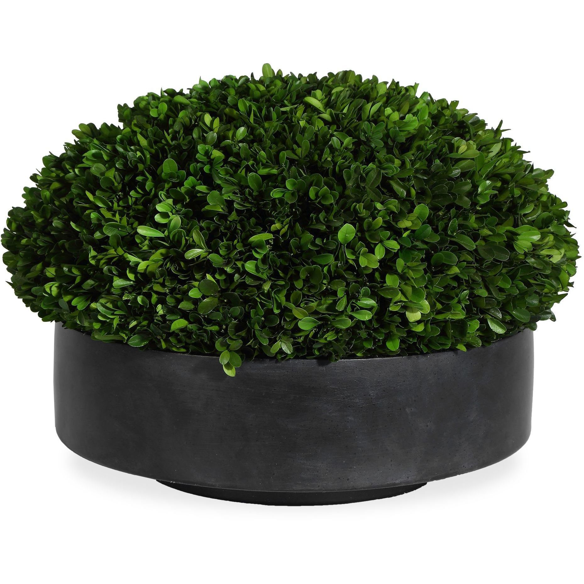 Verdana Aged Charcoal and Green Centerpiece In Bowl