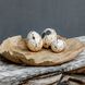 Nest Trio Beige and Charcoal Indoor Outdoor Decorative Eggs, Set of 3