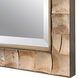 Cocos 41 X 28 inch Coconut Shell and Dark Gold Wall Mirror