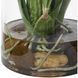 Spider Green and Pink and Yellow Orchid In Glass Vase