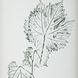 Nature's Script 17.25 X 15.25 inch Framed Botanical Prints, Set of 9