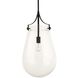Dewdrop 1 Light 13.5 inch Matte Black Pendant Ceiling Light