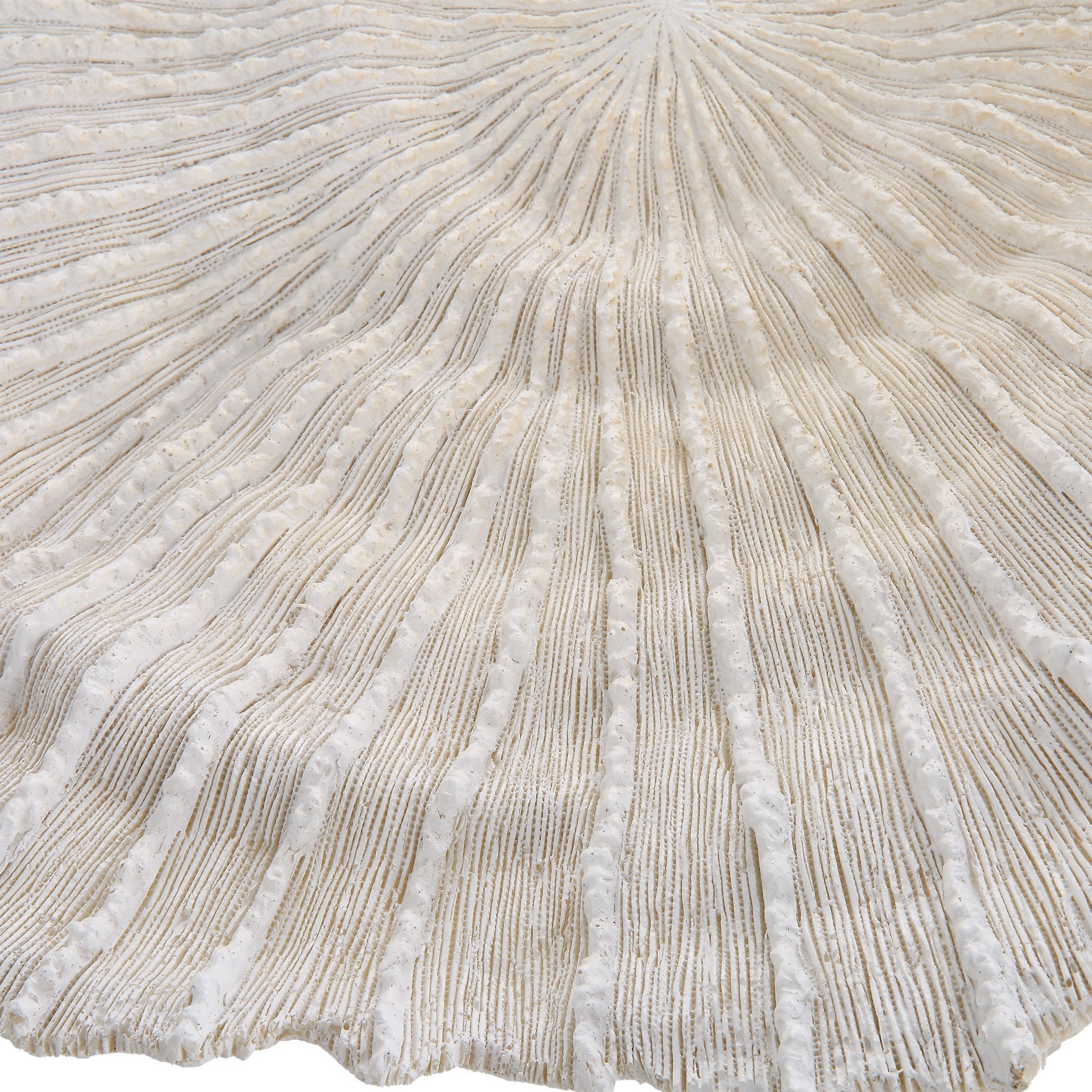 Ocean Gems Textured Ivory And Tan Coral Wall Decor