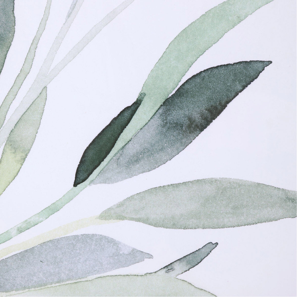 Simple Sage 37 X 26 inch Watercolor Prints, Set of 3